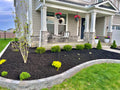Black Mulch