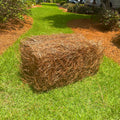 Pine Straw